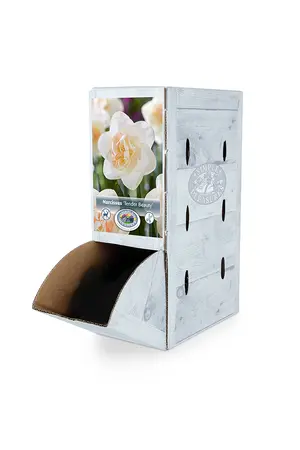 Narcissus Double Tender Beauty | 60 pce - image 2