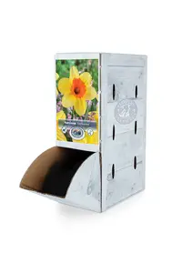 Narcissus Large Cup Fortissimo | 60 pce - image 2