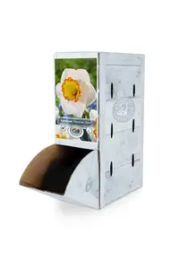 Narcissus Large Cup Hawaiian Skies | 60 pce - image 2
