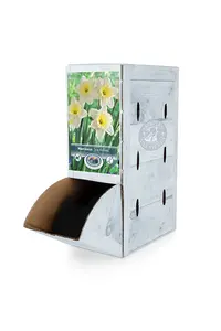Narcissus Large Cup Ice Follies | 60 pce - image 2