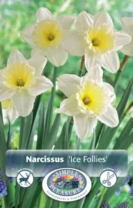 Narcissus Large Cup Ice Follies | Cappers 5 x 12