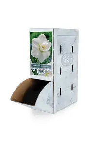 Narcissus Large Cup Snowboard | 60 pce - image 2