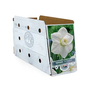 Narcissus Large Cup Snowboard | Cappers 5 x 12 - image 2