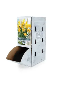 Narcissus Paperwhite Grand Soleil D'Or | 50 pce - image 2