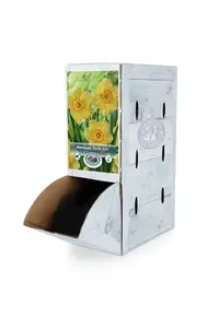 Narcissus Small Cup Pacific Rim | 60 pce - image 2