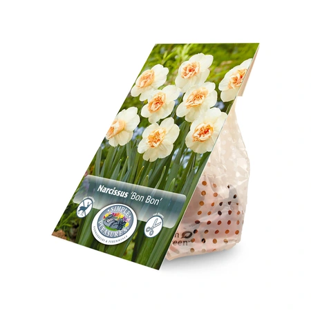 Narcissus Specialty Bon | Quarter Box/20 - image 2