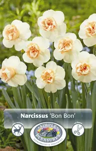 Narcissus Specialty Bon | Cappers 5 x 20