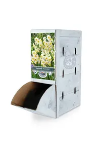 Narcissus Tazetta Avalanche | 60 pce - image 2