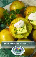 Potatoes