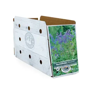Scilla Bluebells | Capper 20 x 10 - image 2