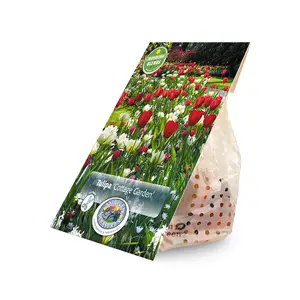 Tulipa Cottage Garden | Cappers 10 x 15 - image 2