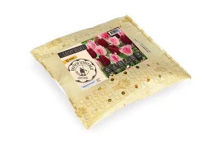 Tulipa Crispy Velvet | Cappers 8 x 16 - image 2