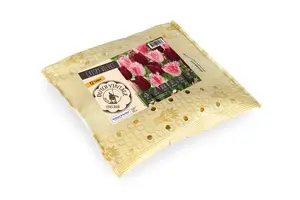 Tulipa Crispy Velvet | Cappers 8 x 16 - image 2