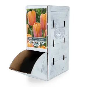 Tulipa Darwin Hybrid Blushing Impression | 80 pce - image 2