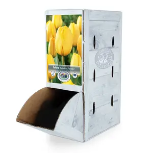 Tulipa Darwin Hybrid Golden Parade | 80 pce - image 2