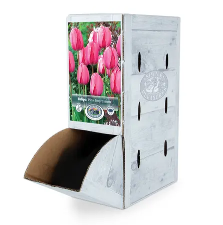 Tulipa Darwin Hybrid Pink Impression | 80 pce - image 2