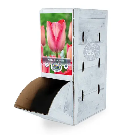 Tulipa Darwin Hybrid Pink Sound | 80 pce - image 2