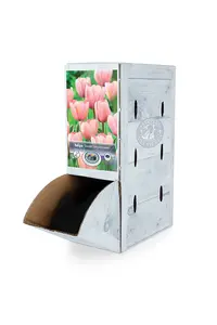 Tulipa Darwin Hybrid Sweet Impression | 80 pce - image 2