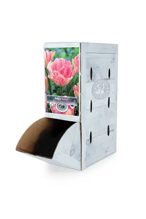 Tulipa Double Early Foxtrot | 80 pce - image 2