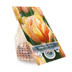Tulipa Double Early Foxy Foxtrot | Capper 20 x 5 - image 2