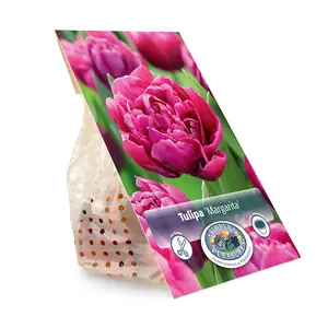 Tulipa Double Early Margarita | Cappers 5 x 20 - image 3