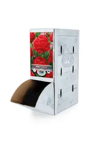 Tulipa Double Early Pamplona | 80 pce - image 2