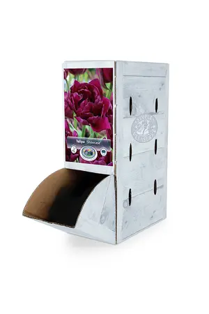 Tulipa Double Early Showcase | 80 pce - image 2