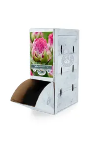 Tulipa Double Early Wicked in Pink | 80 pcs - image 2