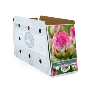 Tulipa Double Early Wicked in Pink | Cappers 5 x 20 - image 2