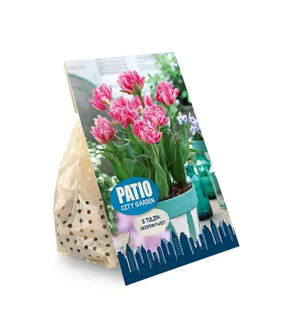 Tulipa Double Late Crispion Sweet | Cappers 6 x 20 - image 2
