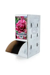 Tulipa Double Late Dreamtouch | 80 pce