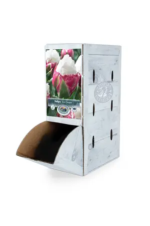 Tulipa Double Late Ice Cream | 80 pce