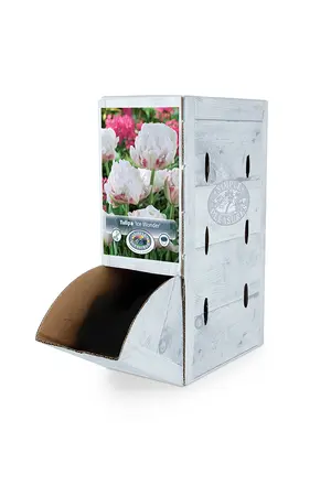 Tulipa Double Late Ice Wonder | 80 pcs - image 2