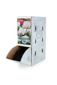 Tulipa Double Late Ice Wonder | 80 pcs - image 2