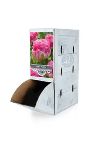 Tulipa Double Late Pinksize | 80 pce - image 2