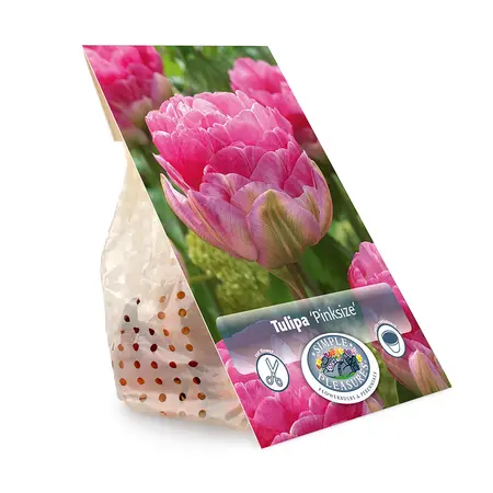 Tulipa Double Late Pinksize | Cappers 5 x 20 - image 3