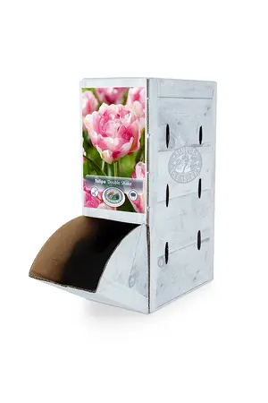 Tulipa Double Late Shake | 80 pce - image 2