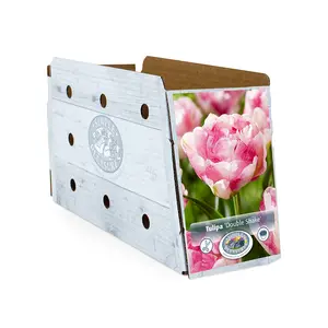 Tulipa Double Late Shake | Cappers 5 x 20 - image 2