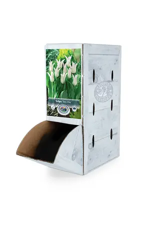 Tulipa Lily-Flowering Tres Chic | 80 pcs - image 2