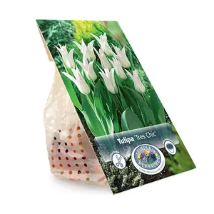 Tulipa Lily-Flowering Tres Chic | Cappers 5 x 20 - image 3