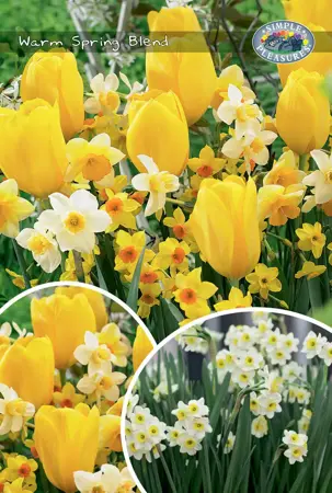 Tulipa/Narcissus Warm Spring Blend | Bags 25 x 20 - image 1