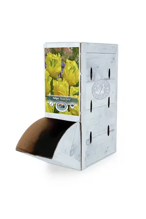 Tulipa Parrot Texas Gold | 80 pcs - image 2