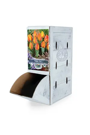 Tulipa Single Early Flair | 80 pcs - image 2