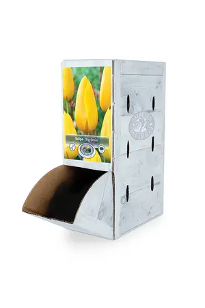 Tulipa Single Late Big Smile | 80 pce - image 2