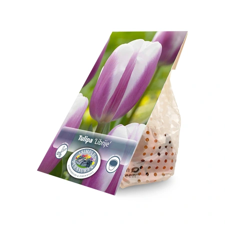 Tulipa Triumph Librije | Cappers 5 x 20 - image 3
